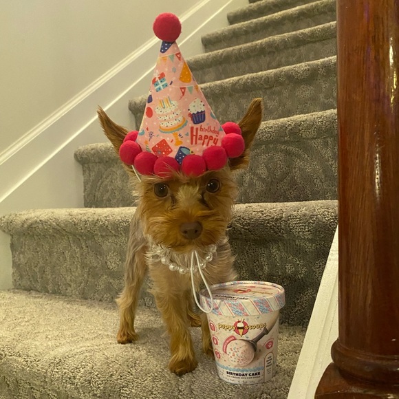 Meet your Posher, Francine - Picture 2 of 3